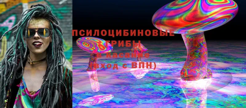 mega ССЫЛКА  Саратов  Псилоцибиновые грибы Psilocybine cubensis 